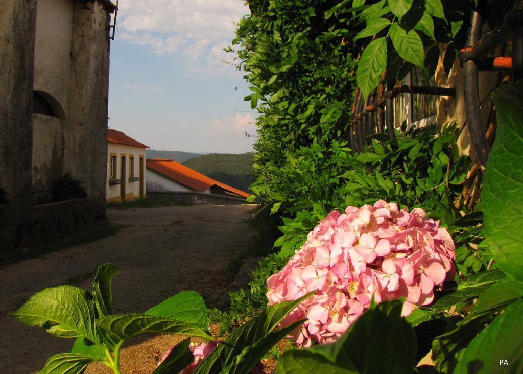 Quinta Do Cerquito Villa Ferreira do Zêzere Exterior foto